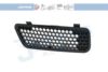 JOHNS 60 31 16 Radiator Grille